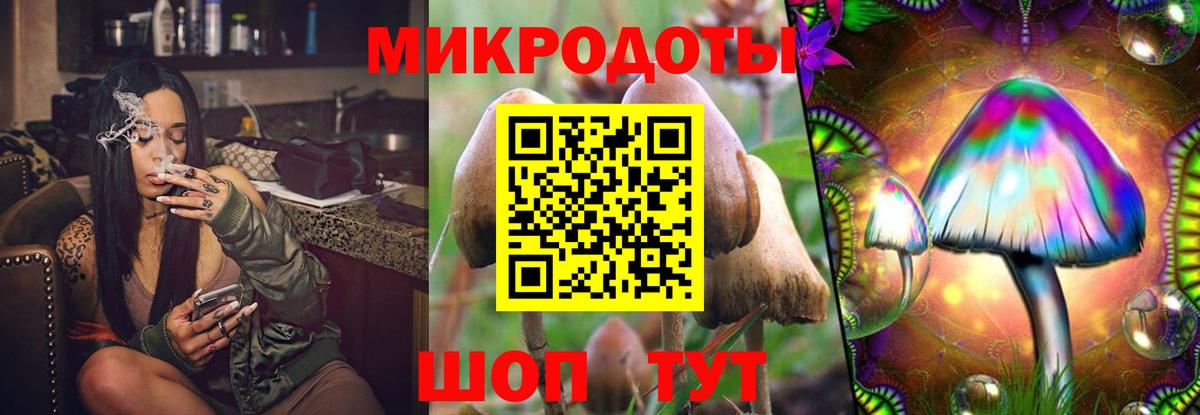 Ржев  Галлюциногенные грибы мухоморы  Вход с VPN 